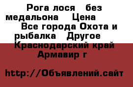 Рога лося , без медальона. › Цена ­ 15 000 - Все города Охота и рыбалка » Другое   . Краснодарский край,Армавир г.